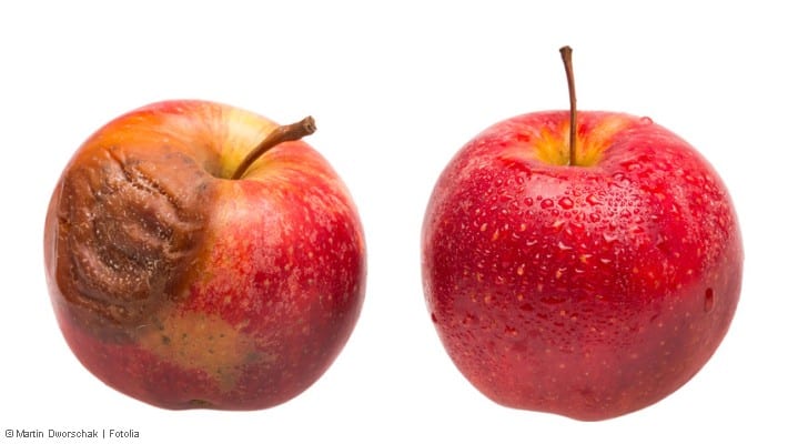 Ein Apfel mit fauliger Stelle neben einem frischen Apfel