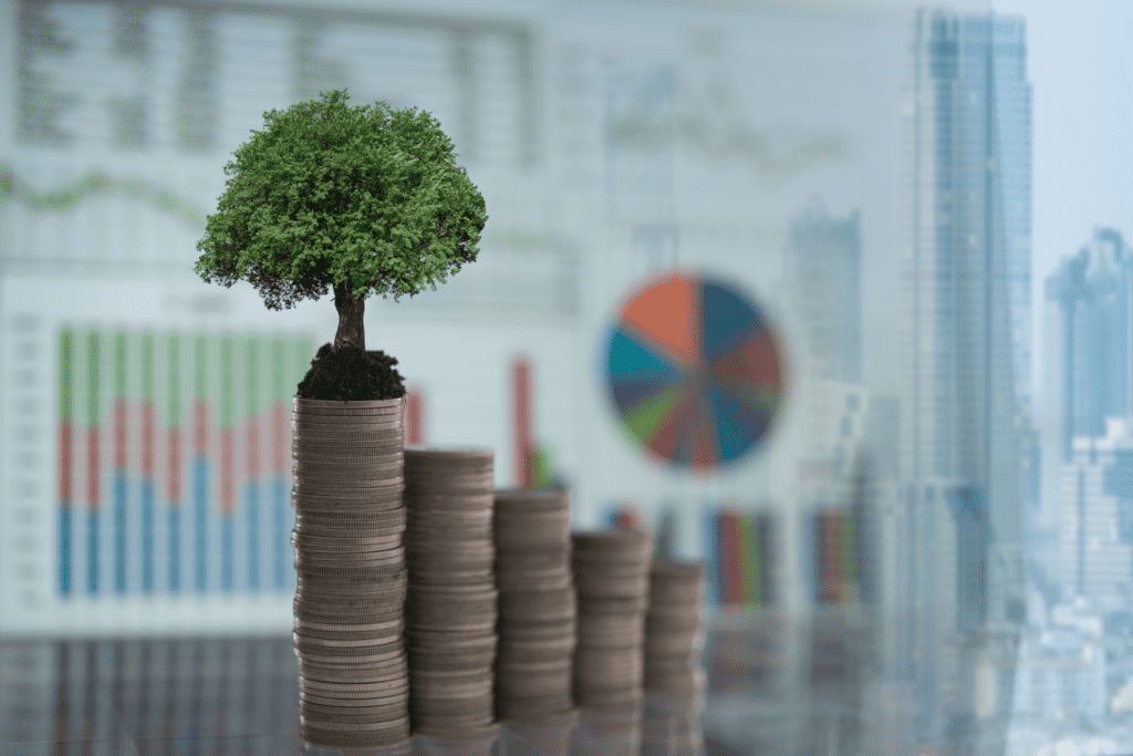 Growth through the financing of a company takeover