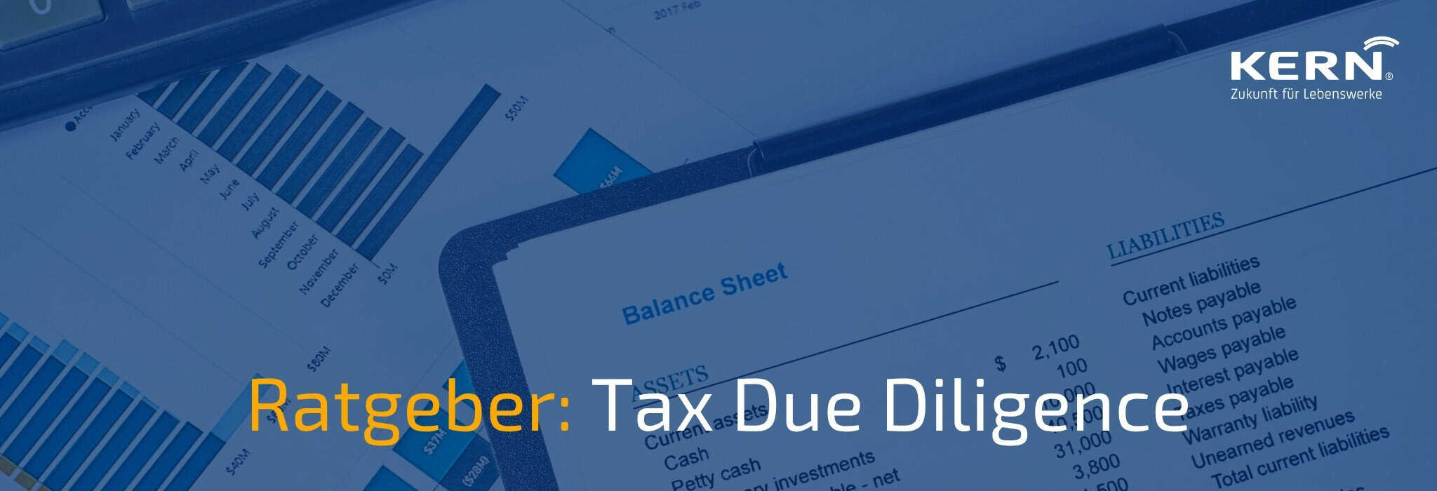 Beitragsbild zum Thema Tax Due Diligence